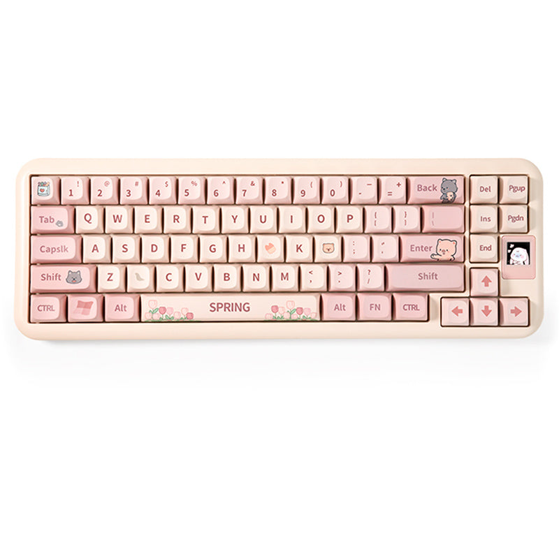 Coolkiller Spring Sreies Wireless Mechanical Keyboard – Exegeek